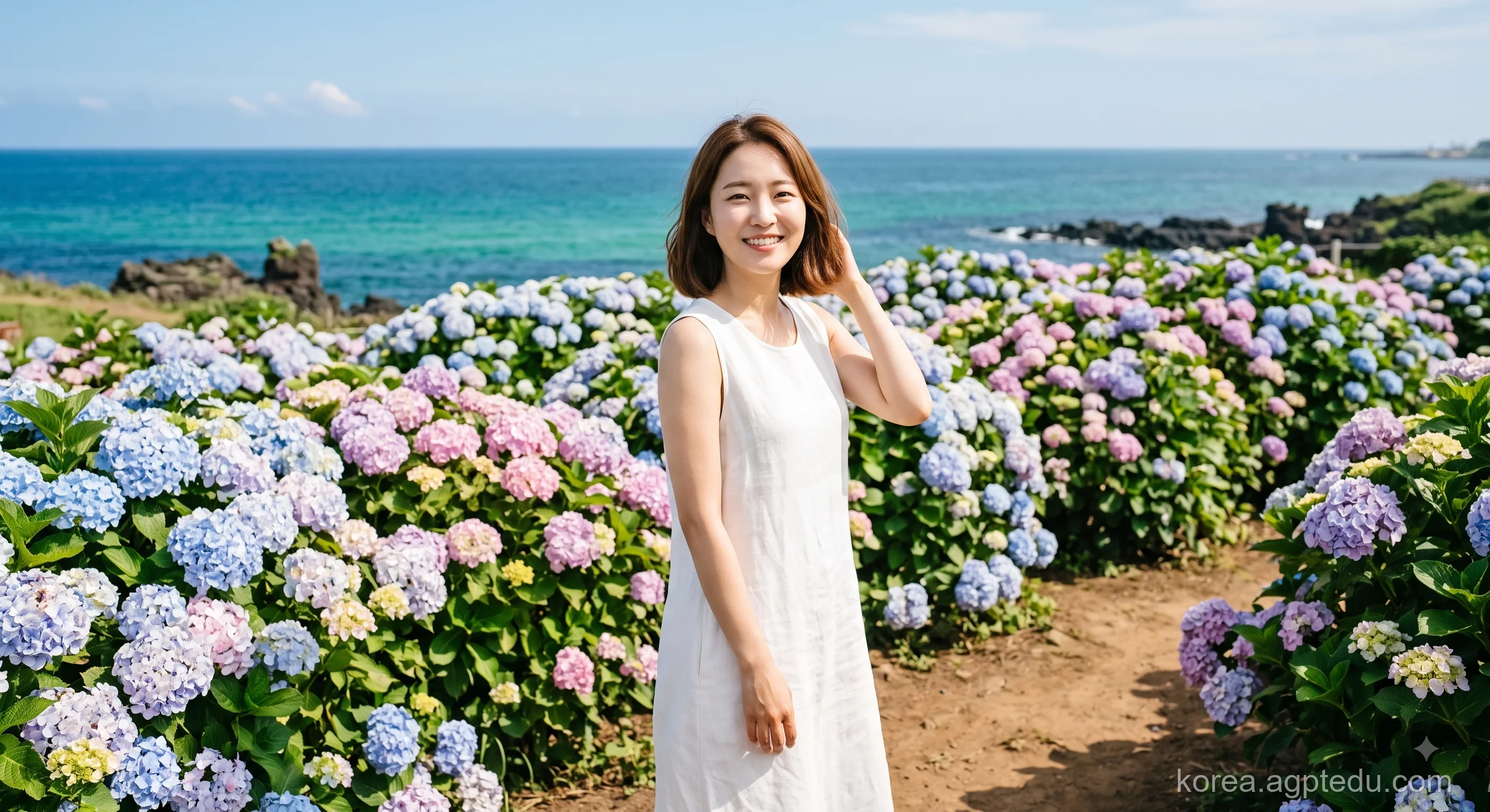 제주 에메랄드 해변과 수국길 바캉스 이미지