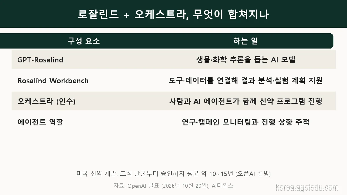 로잘린드와 오케스트라 결합 구조 표: GPT-Rosalind는 생물·화학 추론 모델, Rosalind Workbench는 도구·데이터 연결과 실험 계획, 오케스트라는 사람과 AI 에이전트가 함께 신약 프로그램 진행